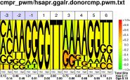 PWM COMPI HSAP/GGAL DONOR SITES