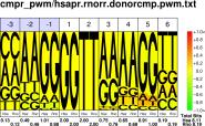 PWM COMPI HSAP/RNOR DONOR SITES